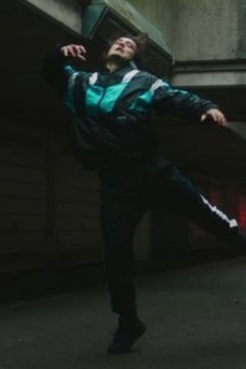 Постер: Flight