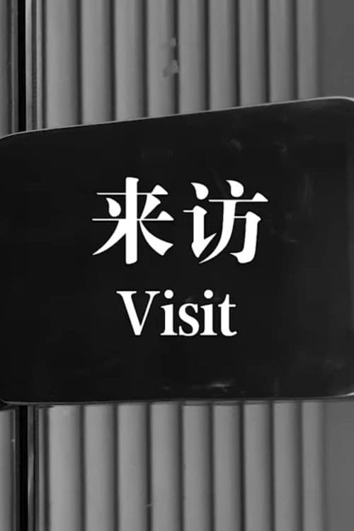 Постер: 来访