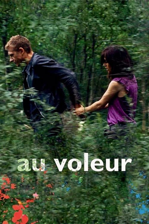 Постер: Au voleur
