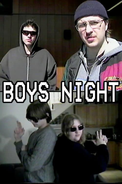 Постер: Boys Night