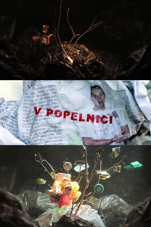 Постер: V popelnici