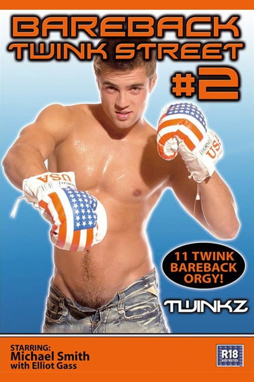 Постер: Bareback Twink Street 2