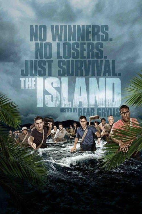 Постер: The Island