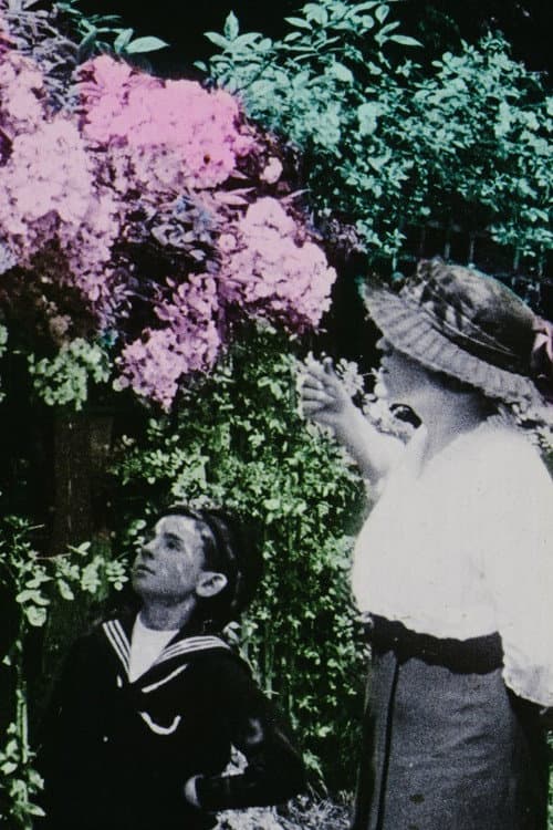 Постер: Les Fleurs dans les jardins