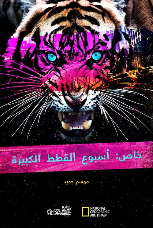 Постер: Big Cat Week Collection