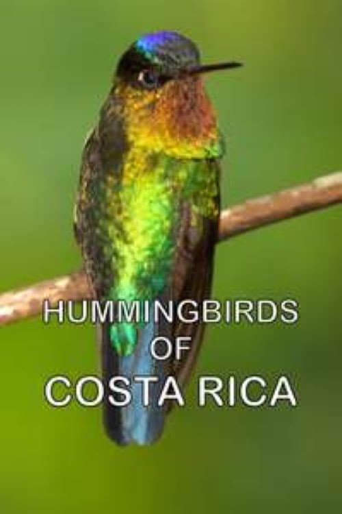 Постер: Hummingbirds of Costa Rica