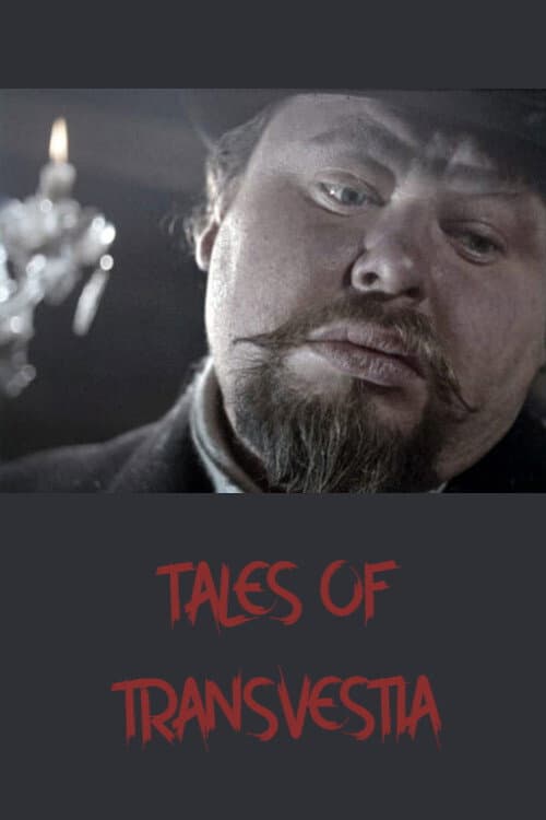 Постер: Transvestijan tarinoita