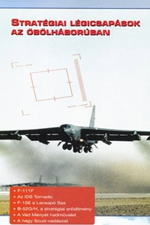 Постер: Combat in the Air - Strategic Air Power in the Gulf