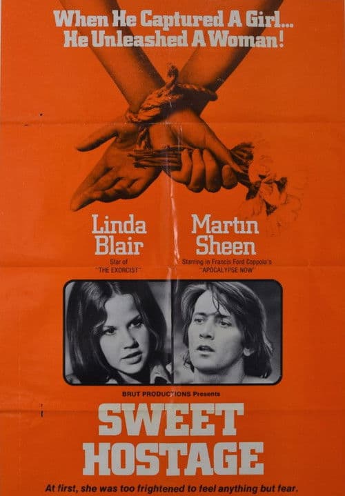Постер: Sweet Hostage