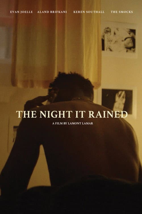 Постер: The Night It Rained