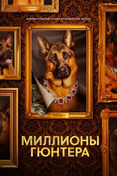 Кадр 3