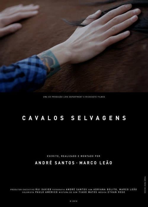 Постер: Cavalos Selvagens