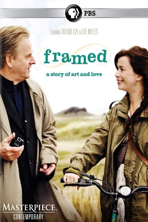 Постер: Framed
