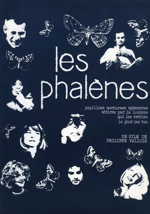 Постер: Les phalènes