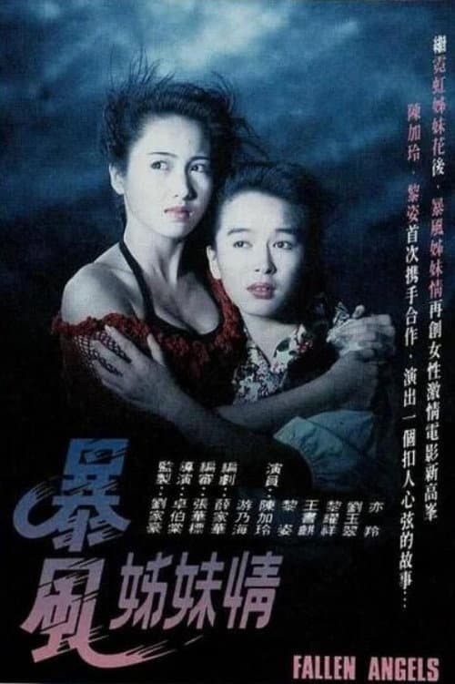 Постер: 暴風姊妹情