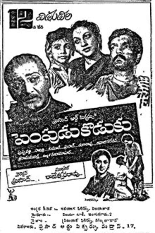 Постер: పెంపుడు కొడుకు