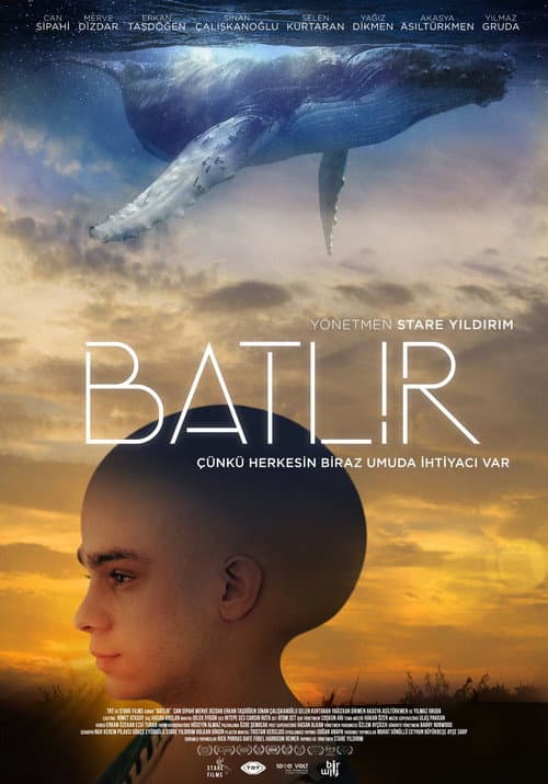 Постер: My Name is Batlir, not Butler