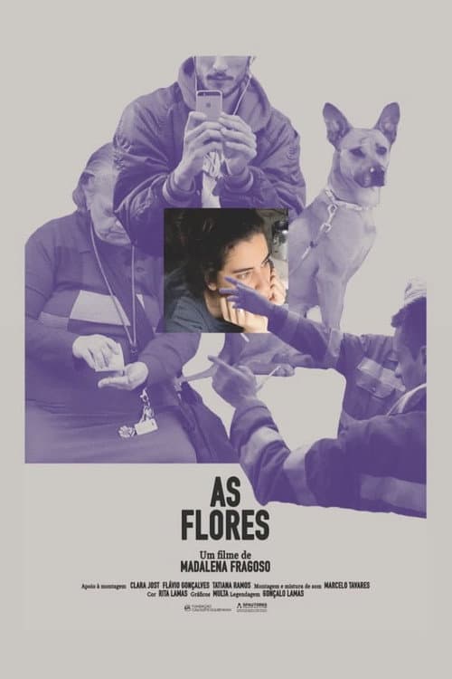 Постер: As Flores
