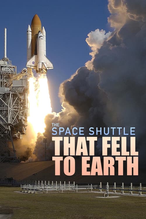 Постер: The Space Shuttle That Fell to Earth