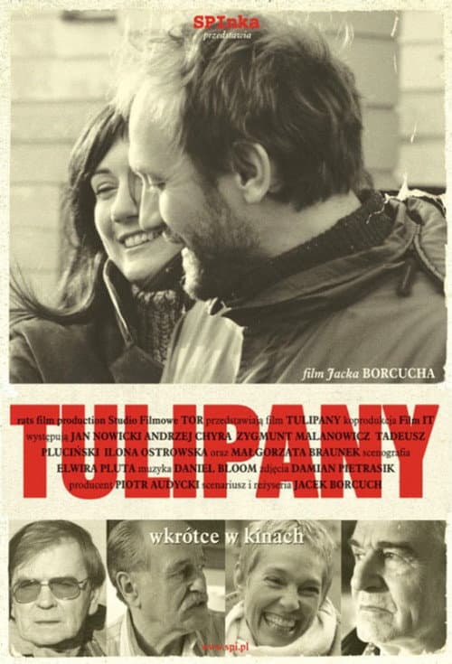Постер: Tulipany