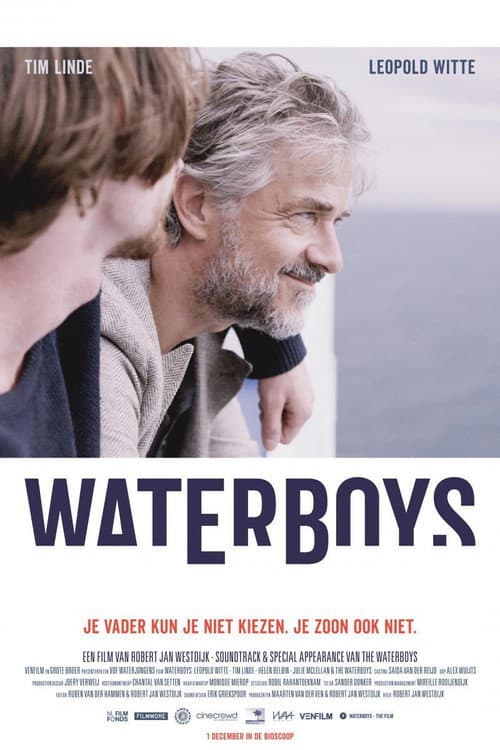Постер: Waterboys