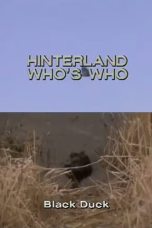 Постер: Hinterland Who's Who: Black Duck