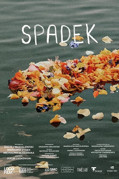 Постер: Spadek