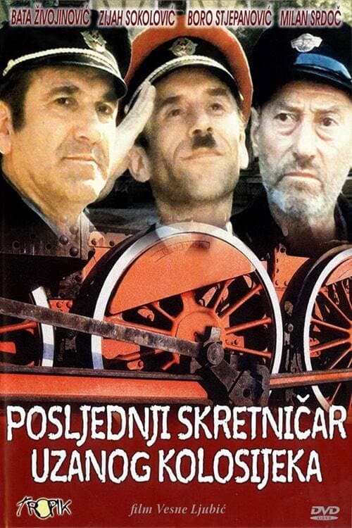 Постер: Posljednji skretničar uzanog kolosijeka