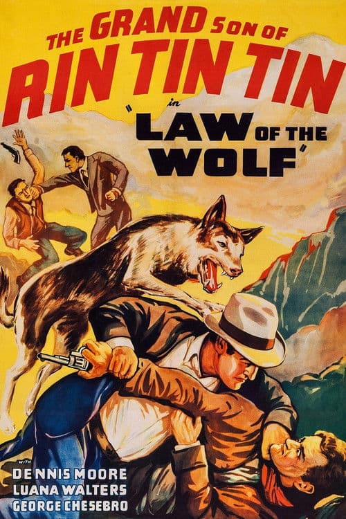 Постер: Law of the Wolf