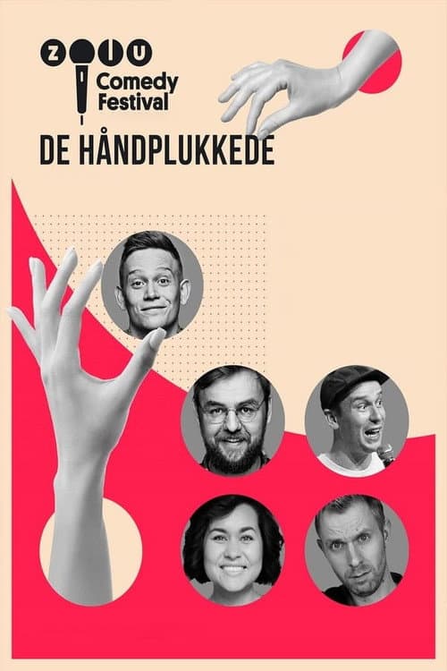 Постер: Zulu Comedy Festival: De håndplukkede