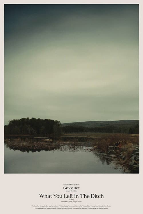 Постер: What You Left in the Ditch
