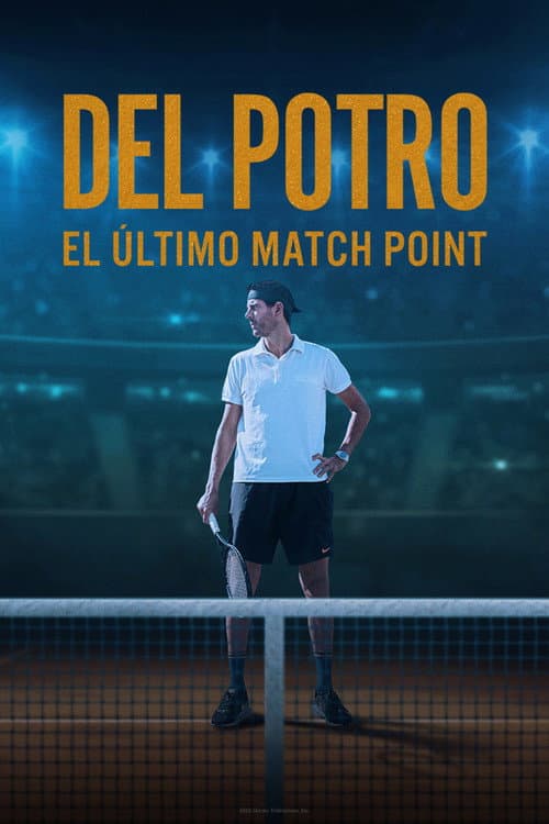 Постер: Del Potro, el último match point