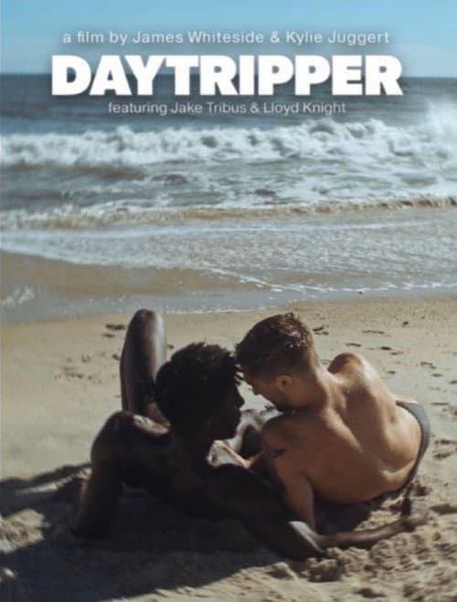 Постер: Daytripper