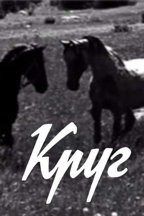 Постер: Круг