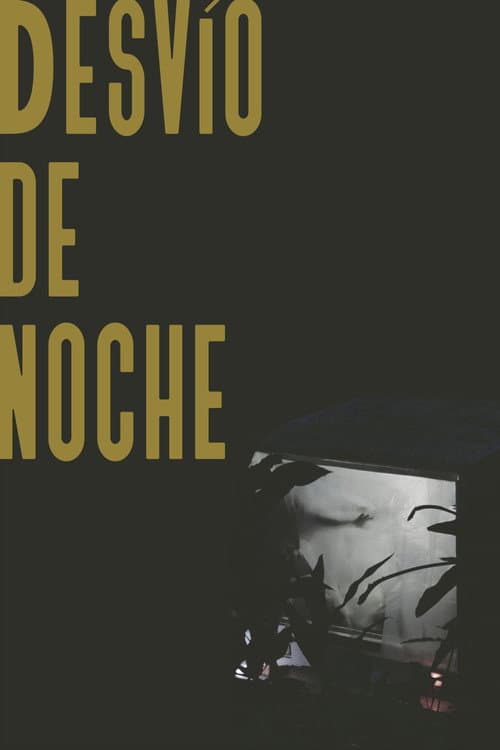 Постер: Desvío de noche