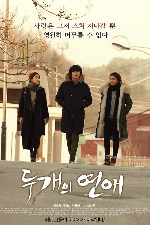 Постер: 두 개의 연애