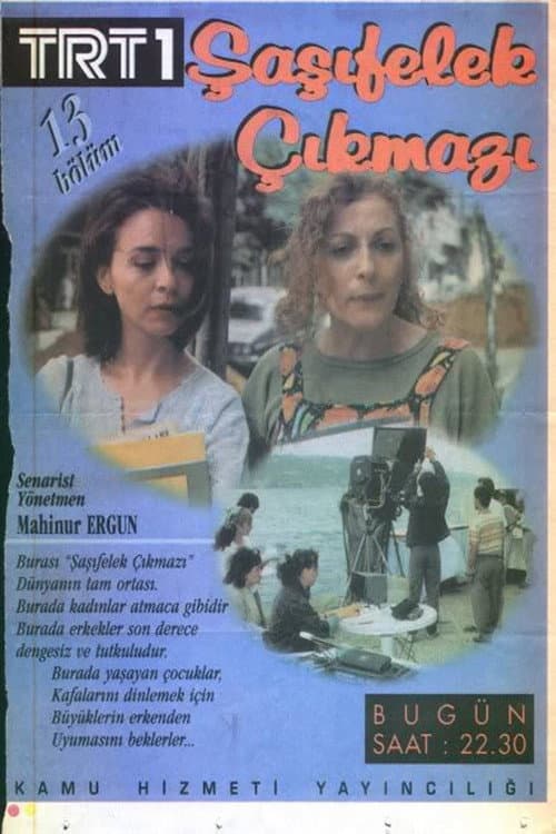 Постер: Şaşıfelek Çıkmazı