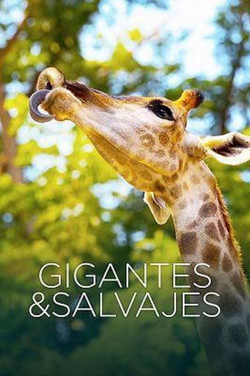 Постер: Gigantes y salvajes