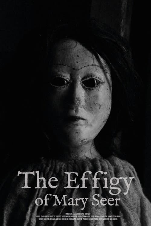 Постер: The Effigy Of Mary Seer