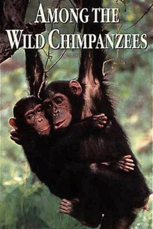 Постер: Among the Wild Chimpanzees