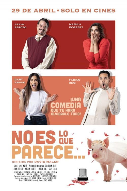 Постер: No es lo que parece
