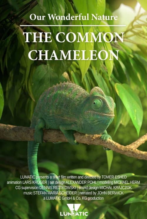 Постер: Our Wonderful Nature - The Common Chameleon