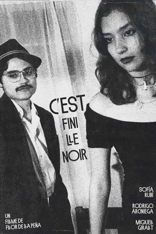 Постер: C’est fini le noir