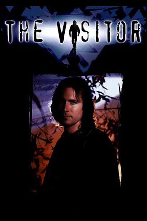 Постер: The Visitor