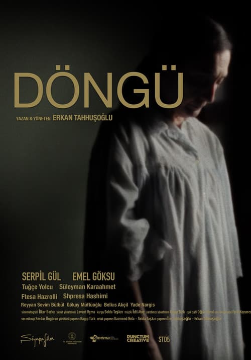 Постер: Döngü
