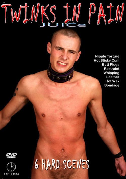 Постер: Twinks in Pain