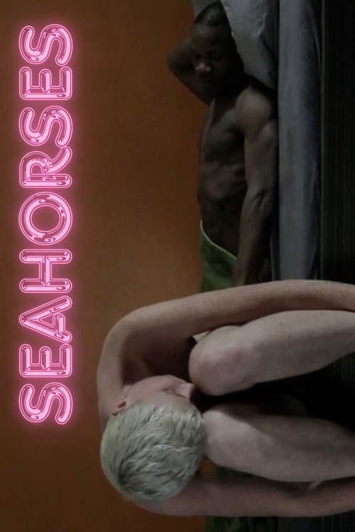Постер: Seahorses