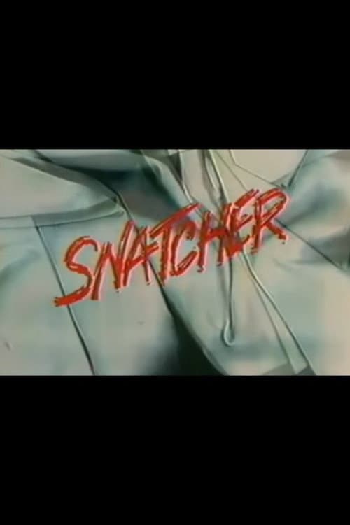 Постер: Snatcher