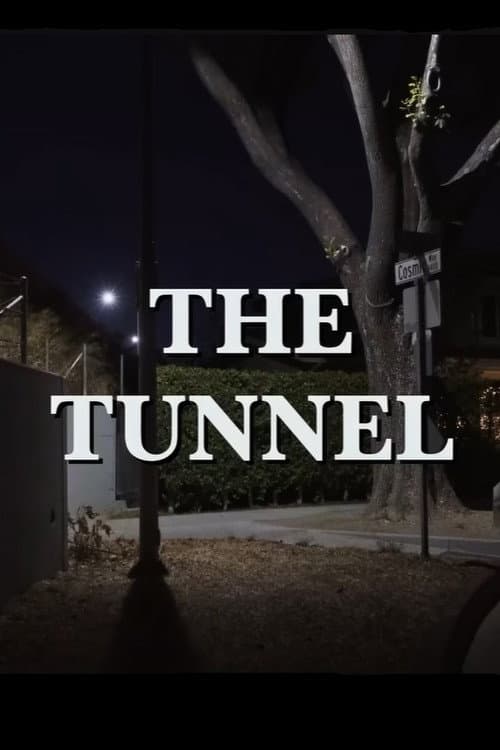 Постер: The Tunnel