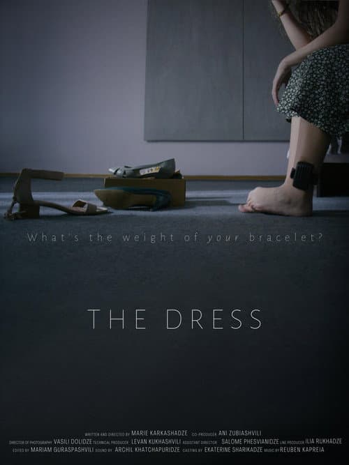 Постер: The Dress
